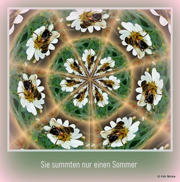 Bildgedicht: Sie summten nur einen Sommer 