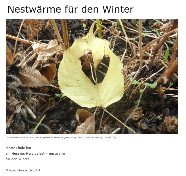 Bildgedicht: Nestwärme für den Winter