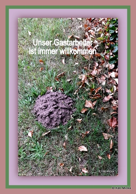 Bildgedicht: Unser Gastarbeiter