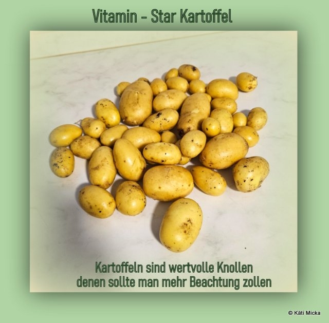 Bildgedicht: Vitamin-Star ist die Kartoffel