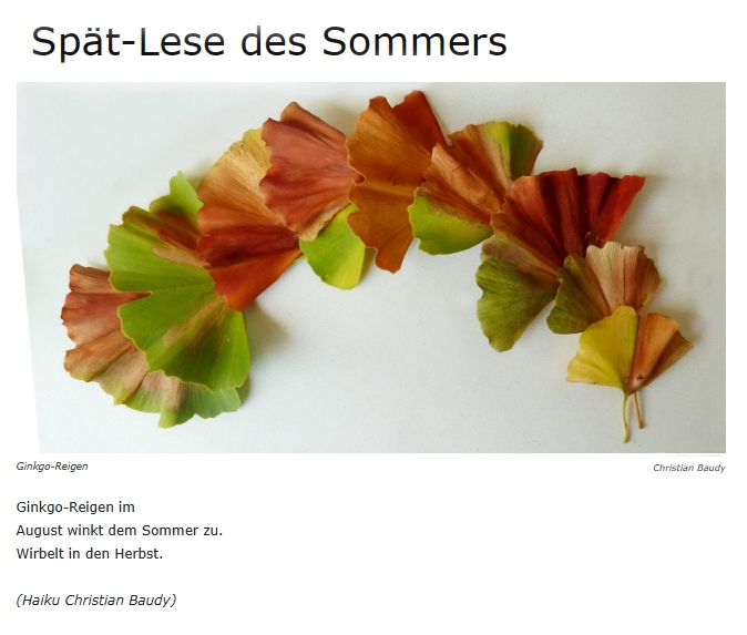 Bildgedicht: Spät-Lese des Sommers