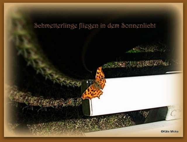 Bildgedicht: Schmetterling 