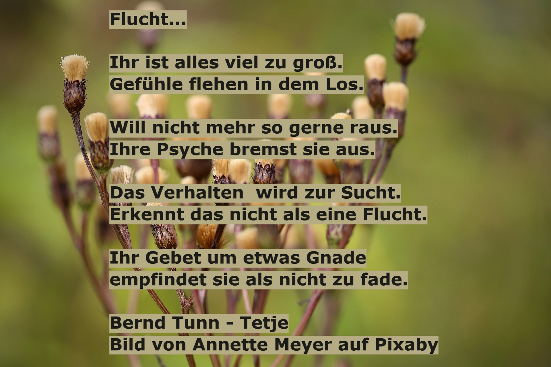 Bildgedicht: Flucht...