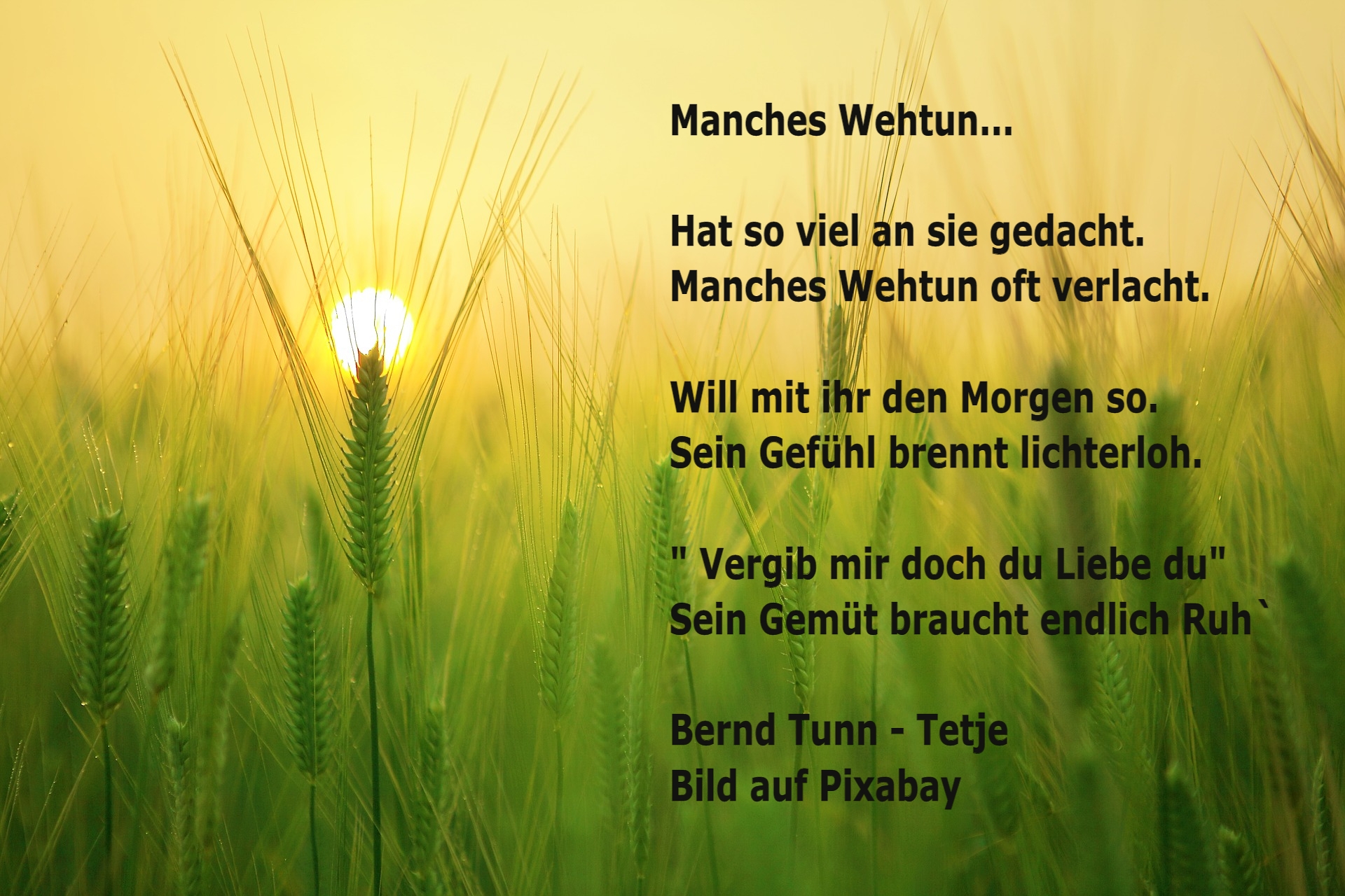 Bildgedicht: Manches Wehtun...