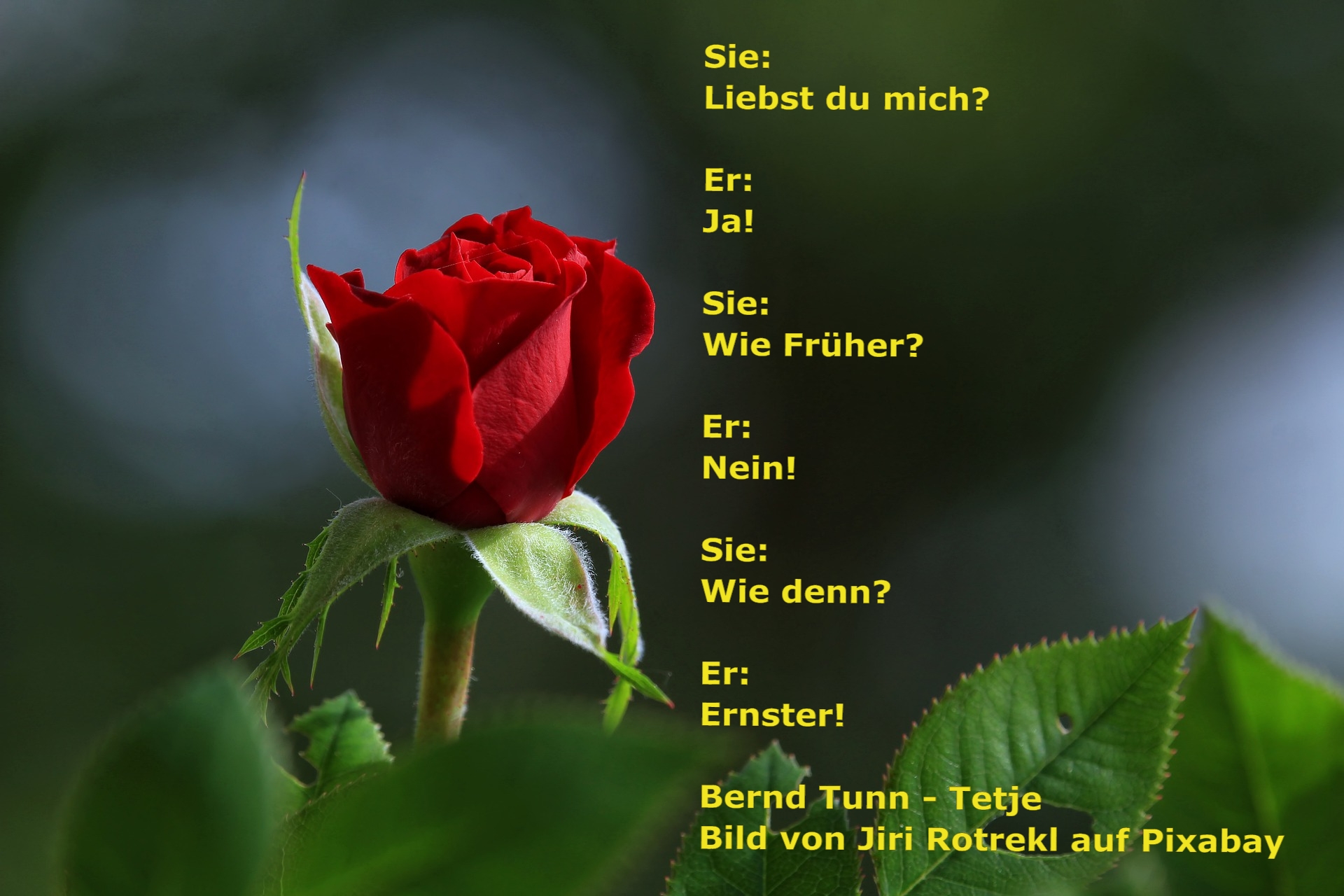 Bildgedicht: Liebe