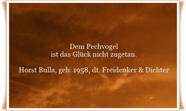 Bildgedicht: Dem Pechvogel