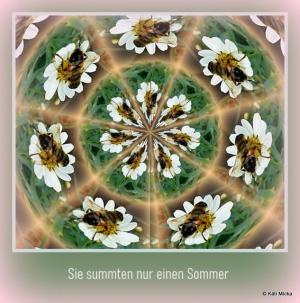 Vorschau Bildgedicht: Sie summten nur einen Sommer 