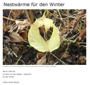 Vorschau Bildgedicht: Nestwärme für den Winter